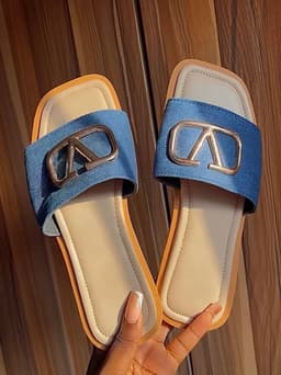 Hinny blue slide